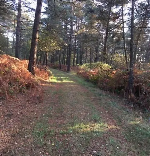 Semesterbostad La Grange