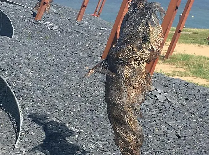 Semesterbostad La Grange *